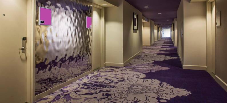 佐索酒店(Hotel Zoso)图片