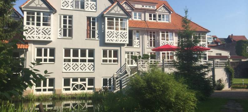 罗曼提斯切斯曼扎萨酒店(Romantisches Hotel Menzhausen)图片