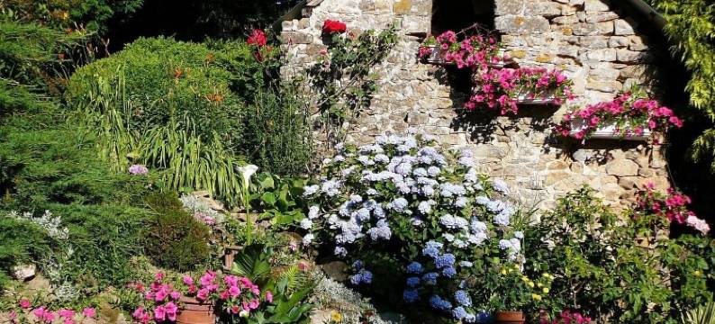 瑟蒙迪雷民宿(La Semondière)图片