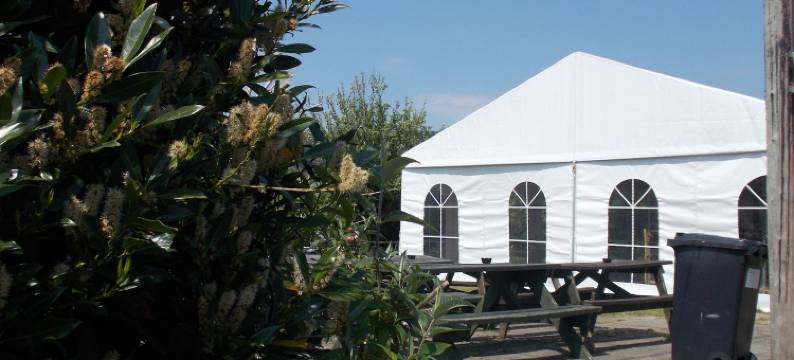 白狮酒店(The White Lion Hotel)图片