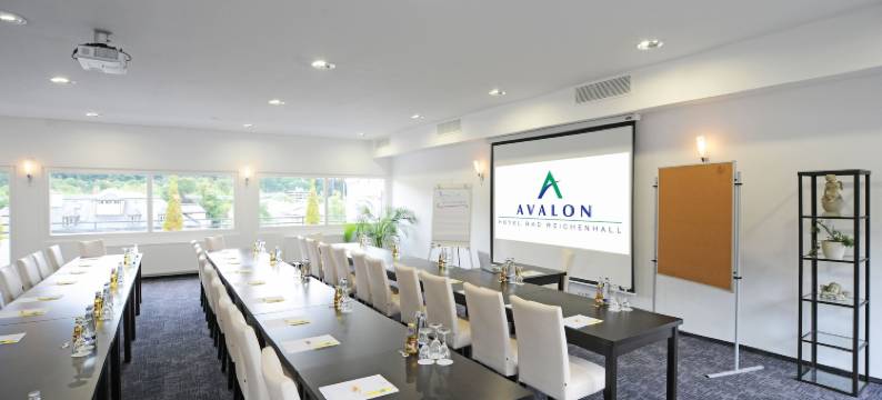 巴特-莱兴哈尔阿瓦隆酒店(Avalon Hotel Bad Reichenhall)图片