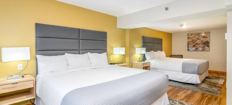 格雷福克斯旅馆和度假村(Grey Fox Inn)图片