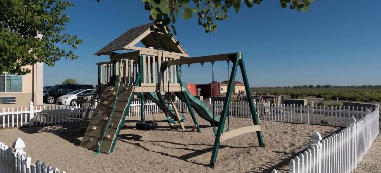 阿拉莫萨舒适套房酒店(Comfort Inn & Suites Alamosa)图片