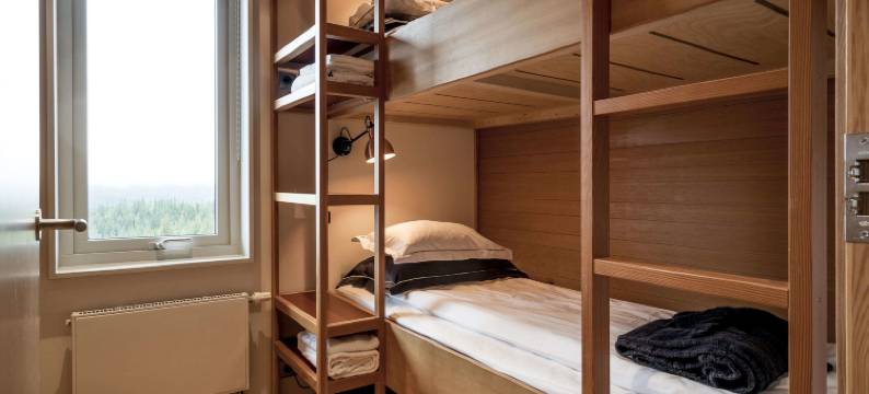 Copperhill Mountain Lodge图片