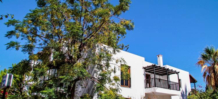 莱达俱乐部酒店(Lyda Hotel)图片