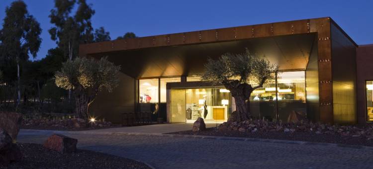 文奇瓦尔德卡纳斯高尔夫酒店(Vincci Valdecañas Golf)图片