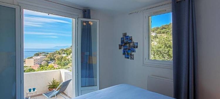 维塔诺瓦(Vita Nova)图片