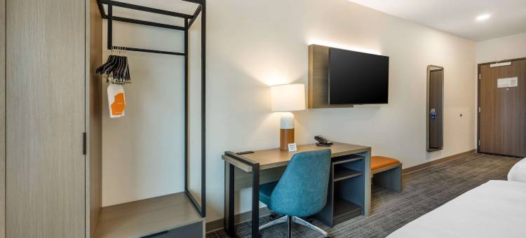 舒适酒店及套房(Comfort Inn & Suites)图片