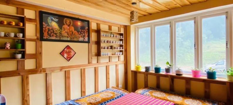 阿尔卑斯丛林住宿(The Alpine Jungle Stay)图片