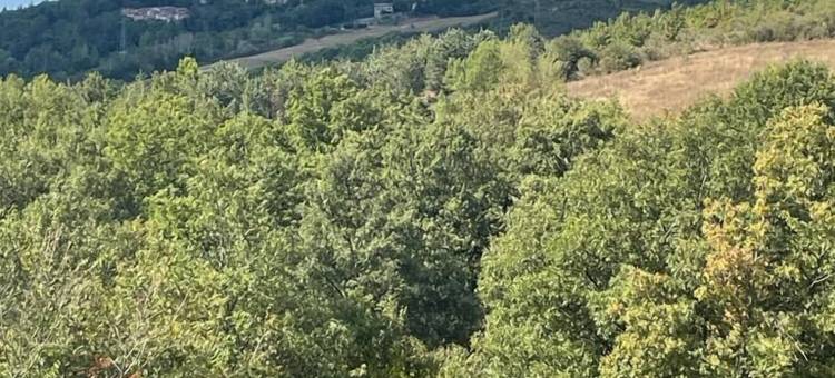 乡村农家乐(Agriturismo in Campagna)图片
