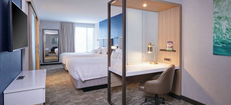 底特律威克森万豪SpringHill Suites酒店(SpringHill Suites by Marriott Wixom Novi)图片