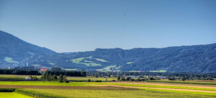 佩斯克勒尔餐厅酒店(Hotel Restaurant Perschler)图片
