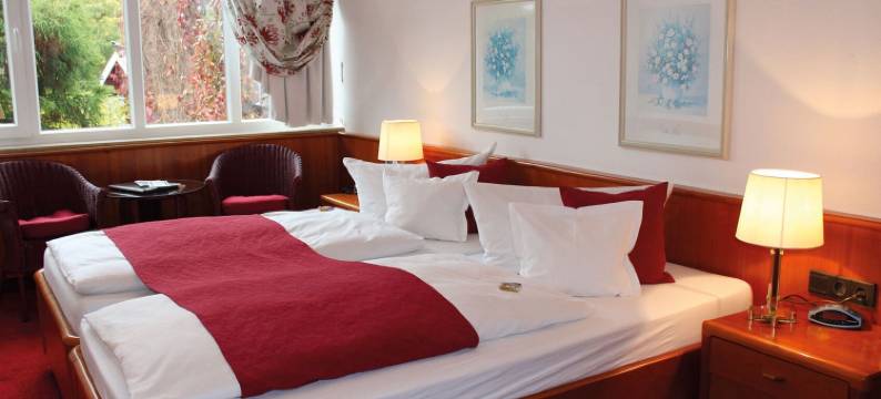 布鲁姆拉格酒店(TOP Hotel Blumlage Celle)图片