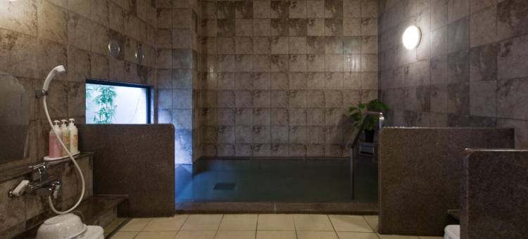 露樱酒店 伊那交流道口店(HOTEL ROUTE-INN INA INTER)图片