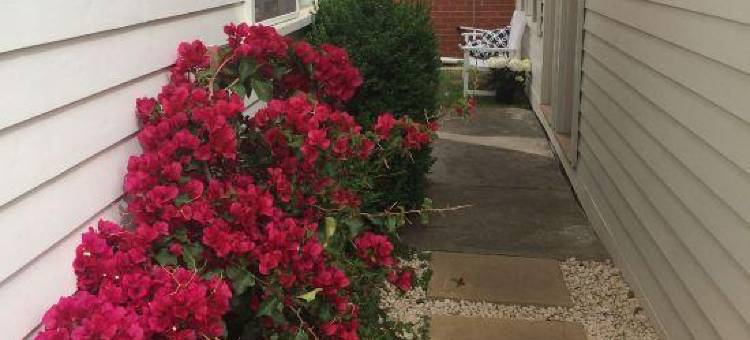 露比昆斯克利夫酒店(Ruby's Queenscliff)图片