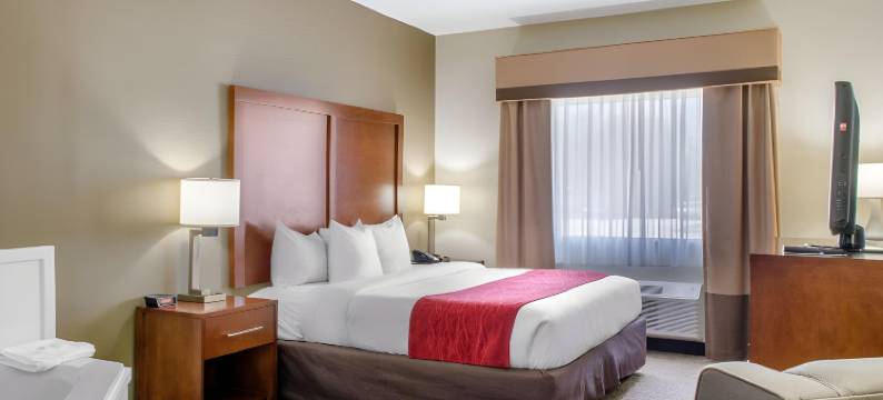 卡温顿-曼德维尔舒适套房酒店(Comfort Inn & Suites Covington - Mandeville)图片