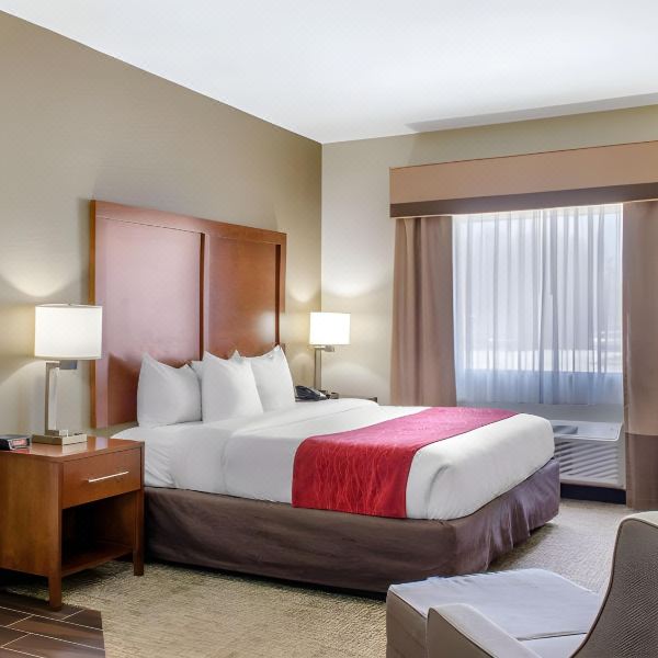 卡温顿-曼德维尔舒适套房酒店(Comfort Inn & Suites Covington - Mandeville)图片