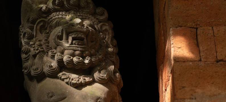 赫利柯尼亚家庭旅馆(Casa Heliconia)图片