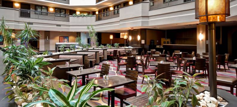 杜勒斯机场希尔顿安泊套房酒店(Embassy Suites by Hilton Dulles Airport)图片