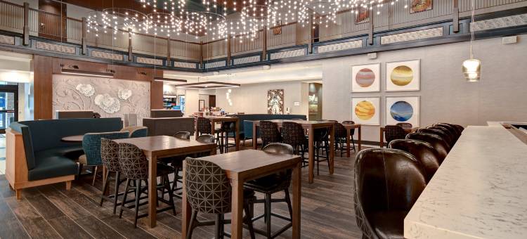 卡拉马祖市中心希尔顿花园酒店(Hilton Garden Inn Kalamazoo Downtown)图片