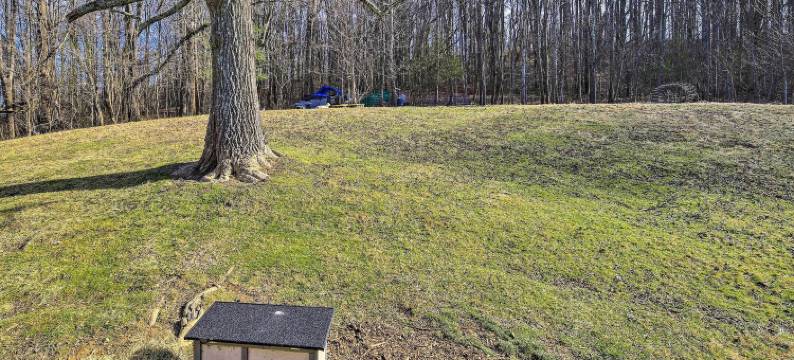 宠物友好之家 w/ 烤架和农场在梅多维尤！(Pet-Friendly Home with Grill and Farm in Meadowview!)图片