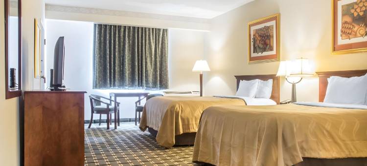 棕榈岛室内水上公园品质酒店套房(Quality Inn & Suites Palm Island Indoor Waterpark)图片