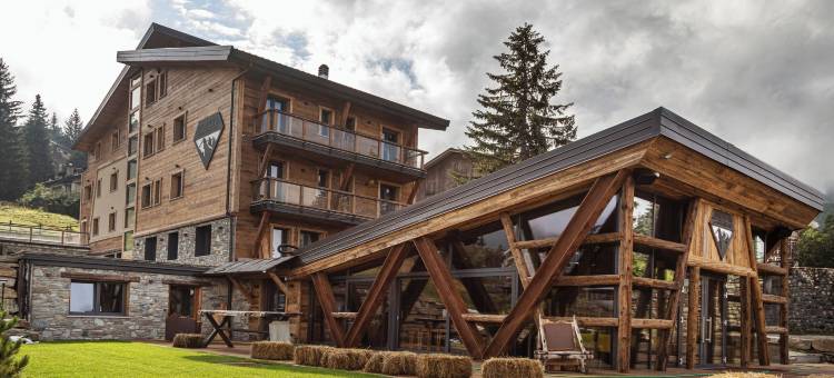 雪崩 - 阿尔卑斯精品酒店(Avalanche - Alpine Boutique Hotel)图片