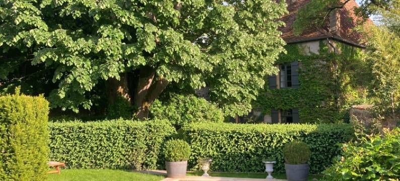 “莱蒂莱特”客栈(Maison d'hôtes - les Tillets)图片