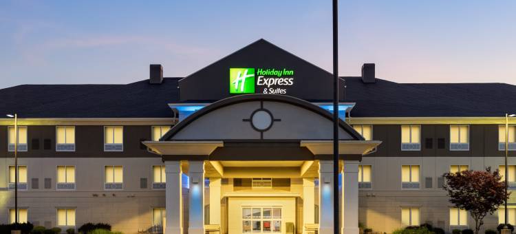 智选假日套房酒店弗里蒙特(Holiday Inn Express & Suites North Fremont)图片