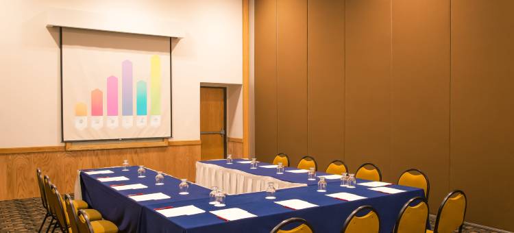 库利阿坎嘉年华酒店(Fiesta Inn Culiacan)图片