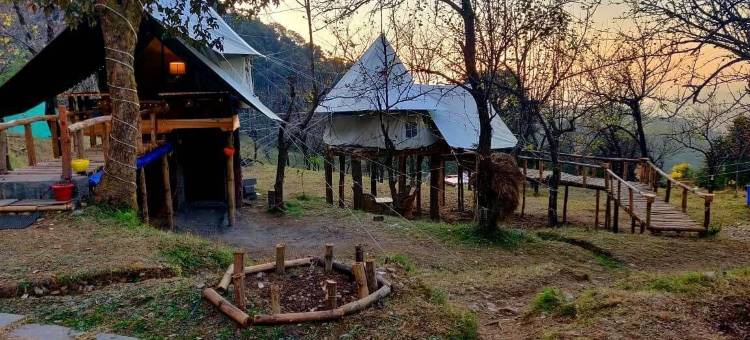 橡树景露营地(Camp Oak View)图片