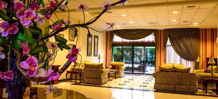 坎佩切广场酒店(Hotel Plaza Campeche)图片