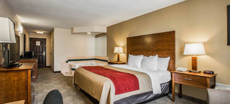 桑蒂I-95舒适套房酒店(Comfort Inn & Suites Santee I-95)图片