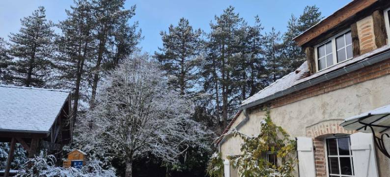 拉达纳莎旅馆(Maison d'hôtes La Danasha)图片