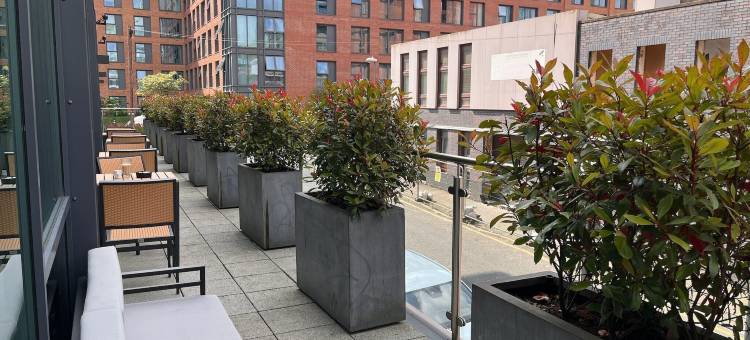 伯明翰中心B&B住宿加早餐酒店(B&B Hotel Birmingham Centre)图片