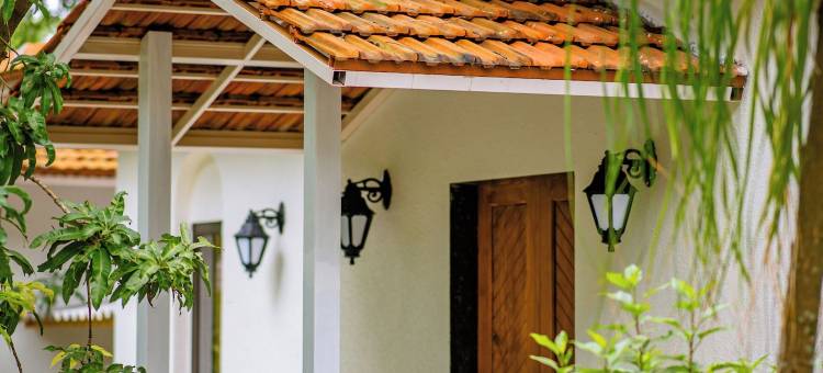 阿埃拉基棕榈(Aeraki palms)图片