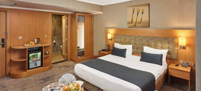 帕尔米亚加济安泰普酒店(Palmiye Hotel Gaziantep)图片