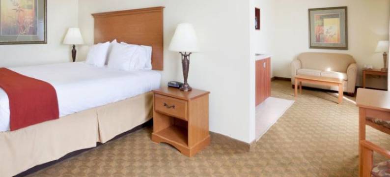 智选假日套房酒店萨帕塔 by IHG(Holiday Inn Express & Suites Zapata by IHG)图片