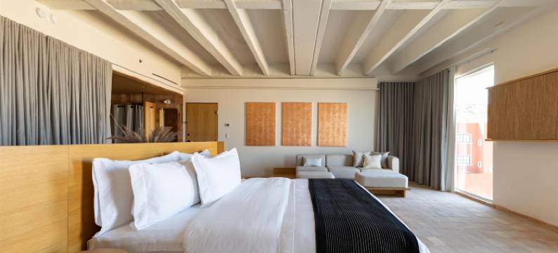 圣米格尔德阿连德阿尔博尔酒店，希尔顿启缤精选(Albor San Miguel de Allende, Tapestry Collection by Hilton)图片