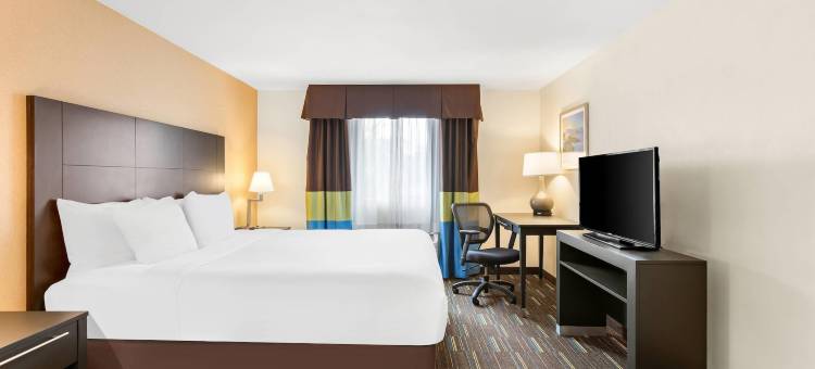 丘拉维斯塔圣地亚哥南舒适酒店(Comfort Inn Chula Vista San Diego South)图片