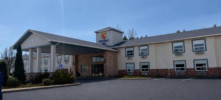 布雷斯桥斯利普酒店(Comfort Inn)图片