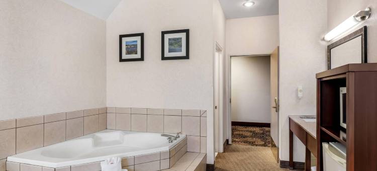 艾尔克舒适酒店(Comfort Inn Elko)图片