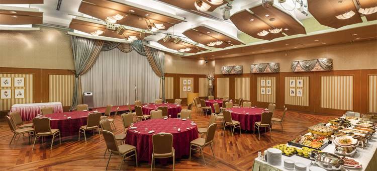 皇宮酒店掛川(Palace Hotel Kakegawa)图片