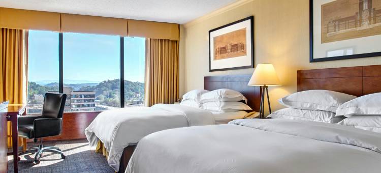 诺克斯维尔希尔顿酒店(Hilton Knoxville)图片