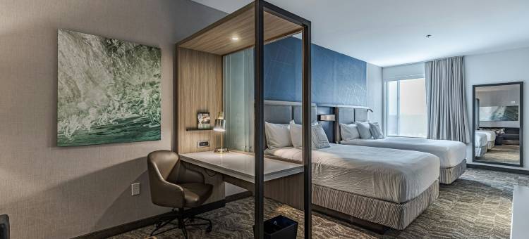 底特律斯特林海茨万豪SpringHill酒店(SpringHill Suites by Marriott Detroit Sterling Heights)图片