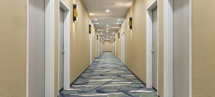 阿马里洛西欢朋酒店及套房(Hampton Inn & Suites by Hilton Amarillo West)图片
