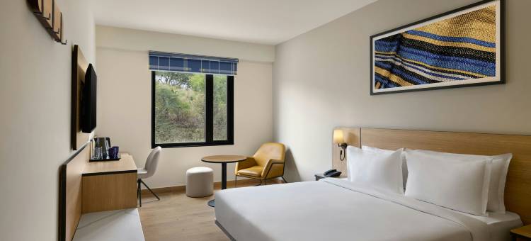 乌代布尔-纳特德瓦拉公路万豪City Express酒店(City Express by Marriott Udaipur Nathdwara Highway)图片