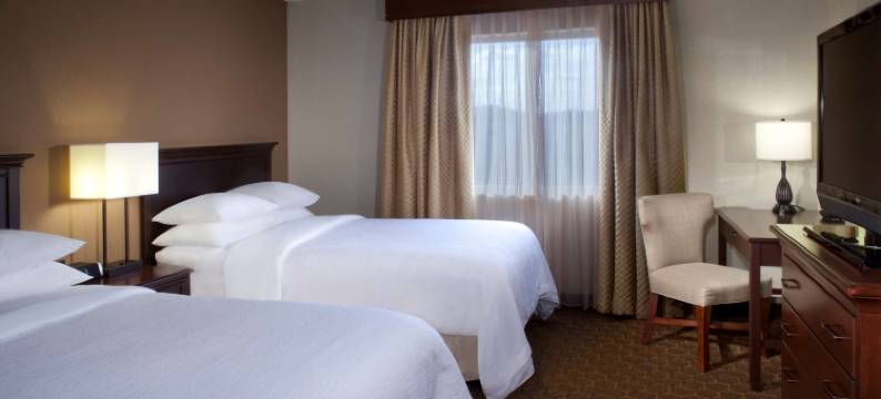 奥斯汀-植物园希尔顿安泊酒店(Embassy Suites by Hilton Austin Arboretum)图片