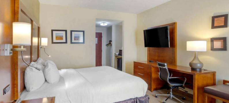 舒适酒店哥伦布近本宁堡(Comfort Inn Columbus Near Fort Moore)图片