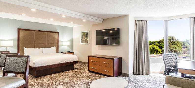 孟菲斯逸林酒店(DoubleTree by Hilton Memphis)图片